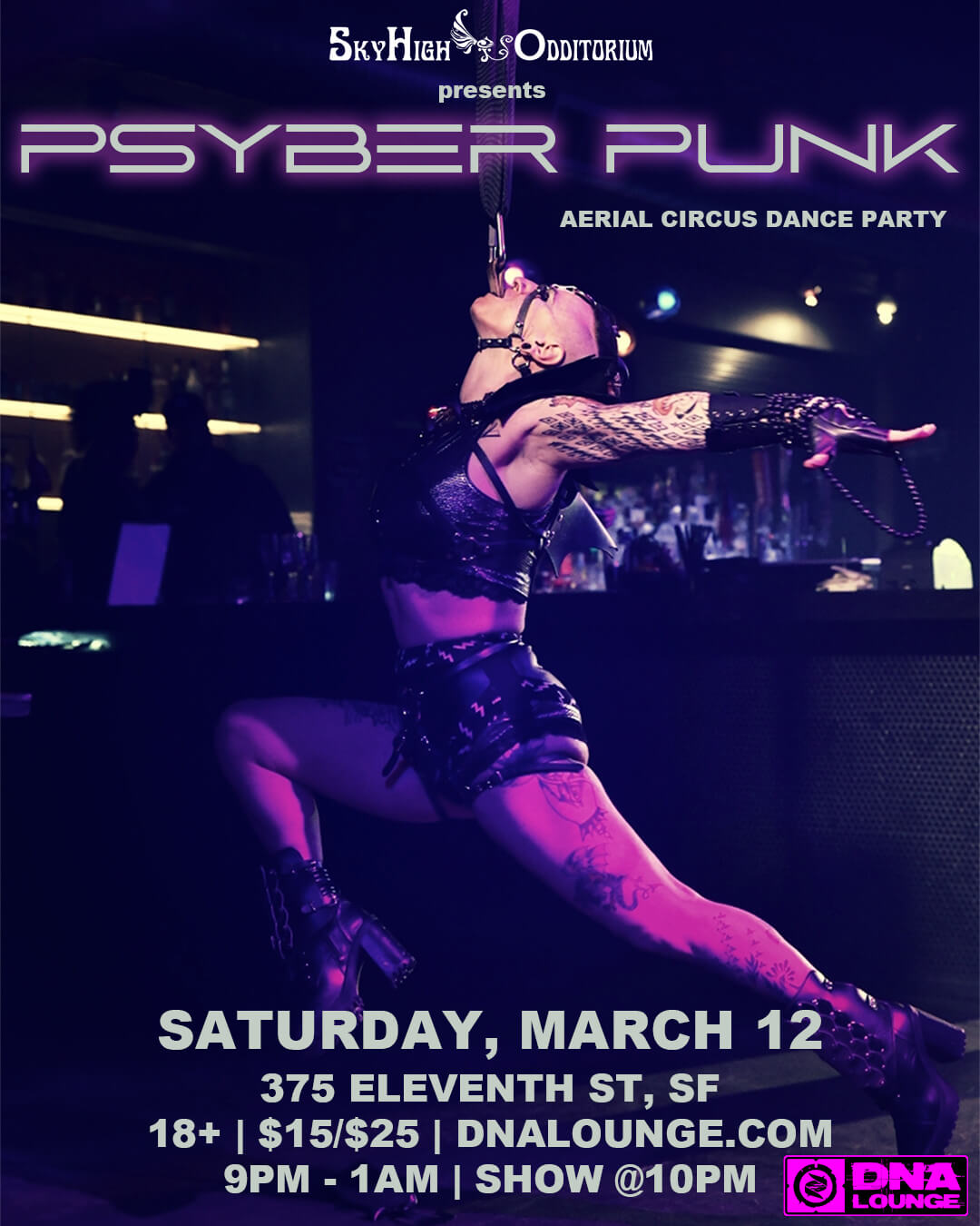 Psyber Punk : Aerial Circus Dance Party